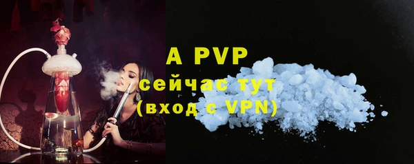 дживик Абаза