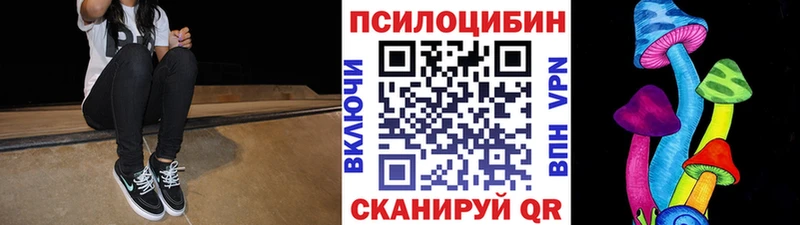 Псилоцибиновые грибы мухоморы  цены наркотик  Терек 
