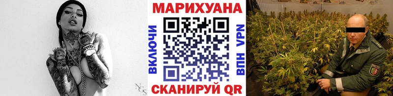 hydra   Терек  Бошки марихуана тримм 